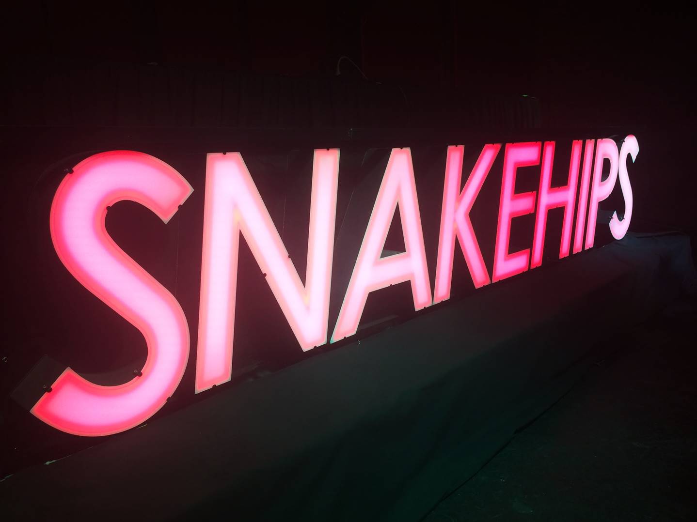 Snakehips LED sign of the future