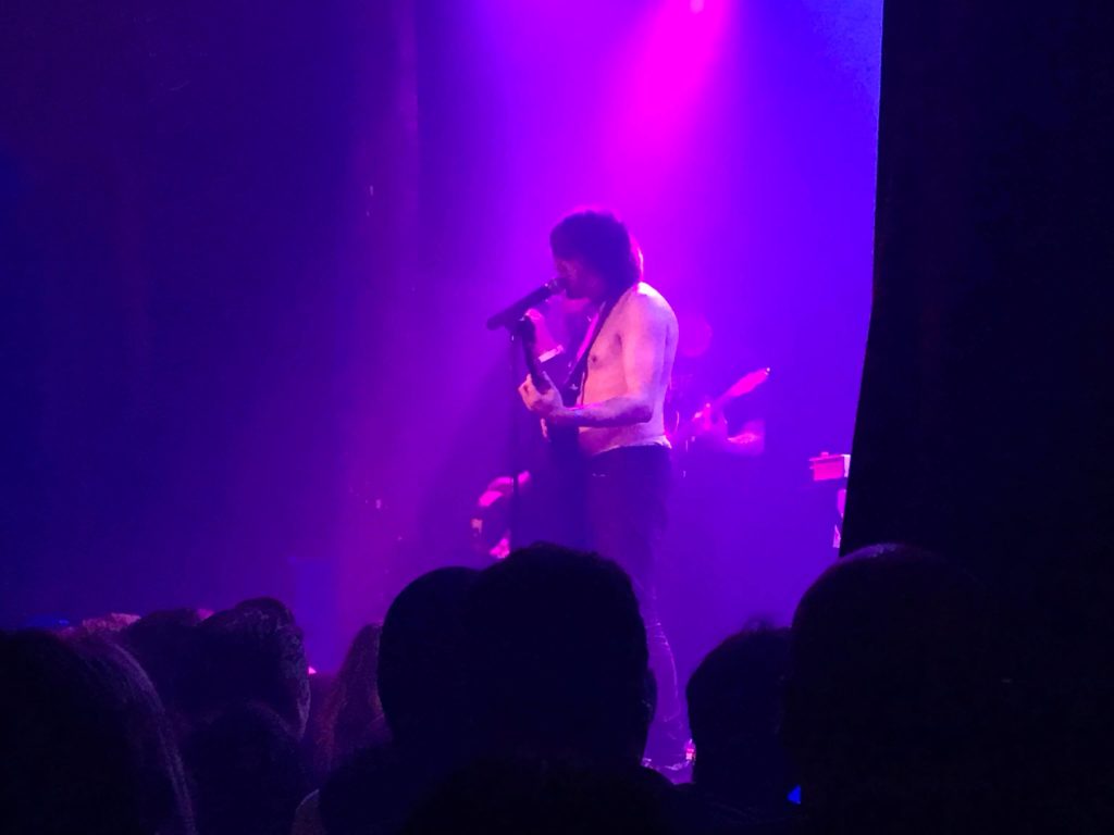 Ariel Pink at Trees on 11/12/17
